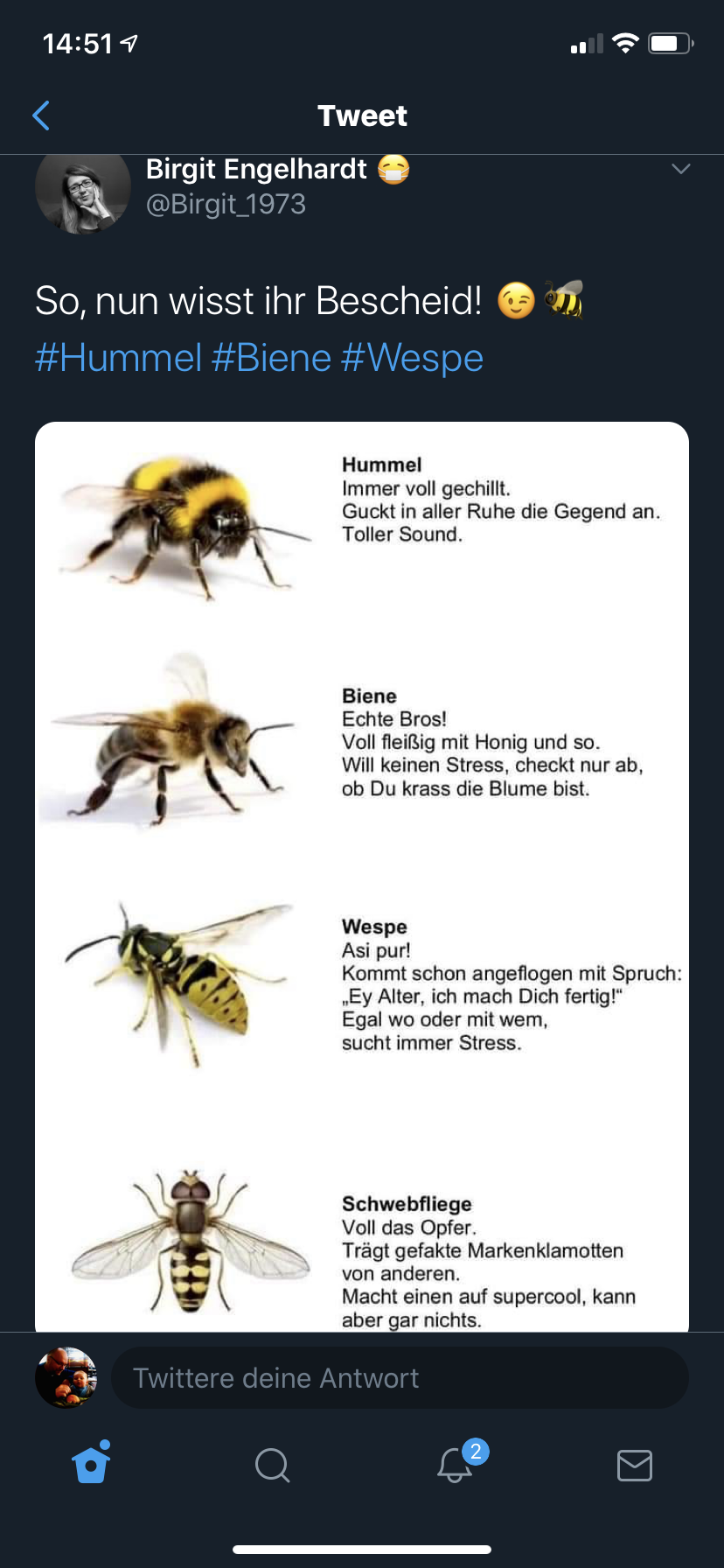 über Hummeln, Bienen, Wespen und Schwebfliegen - ganz einfach erklärt.